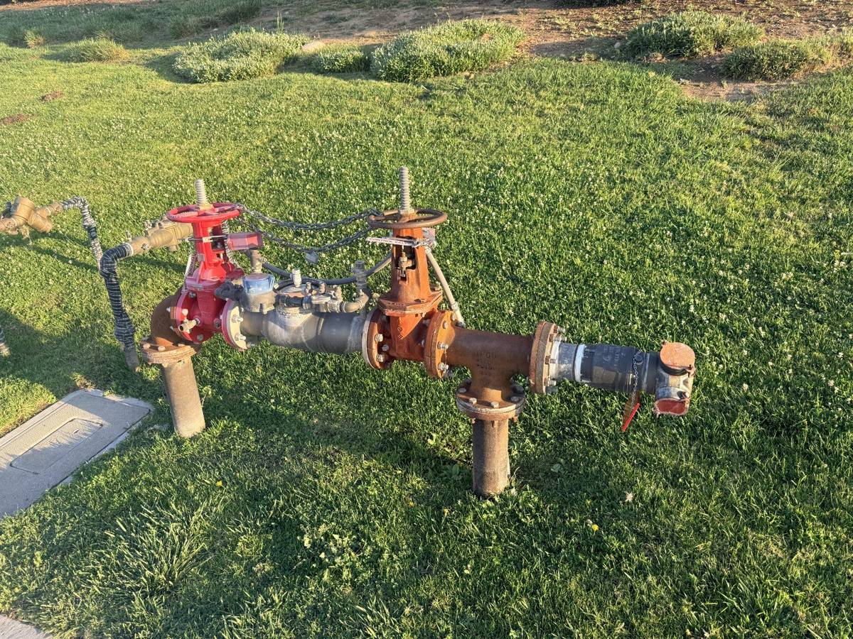 Backflow assembly being inspected for wear and failure